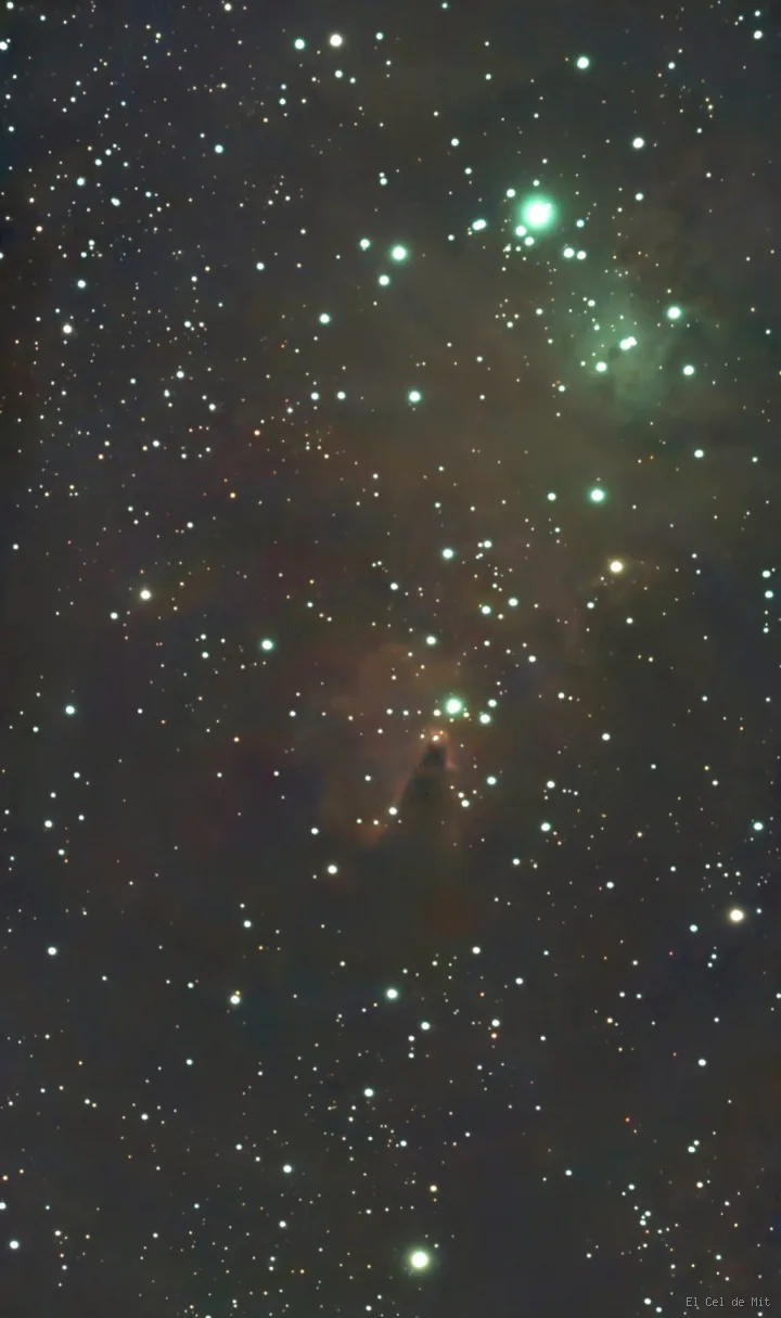 NGC 2264 - La nebulosa del Cono