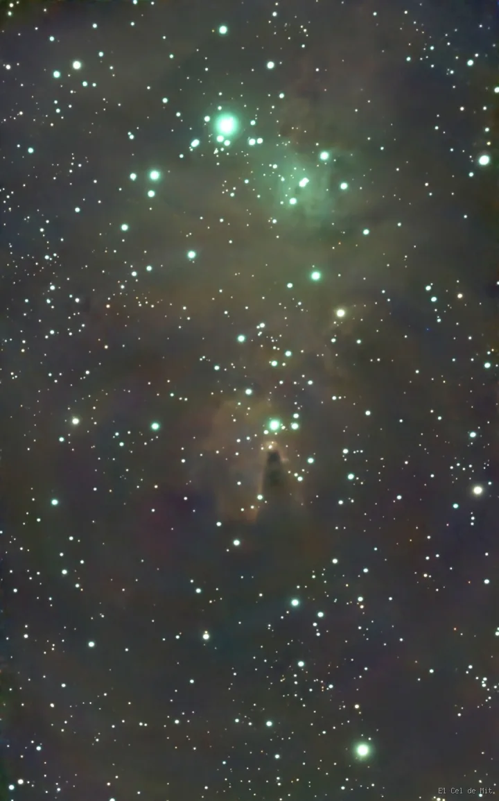 NGC 2264 - La nebulosa del Cono