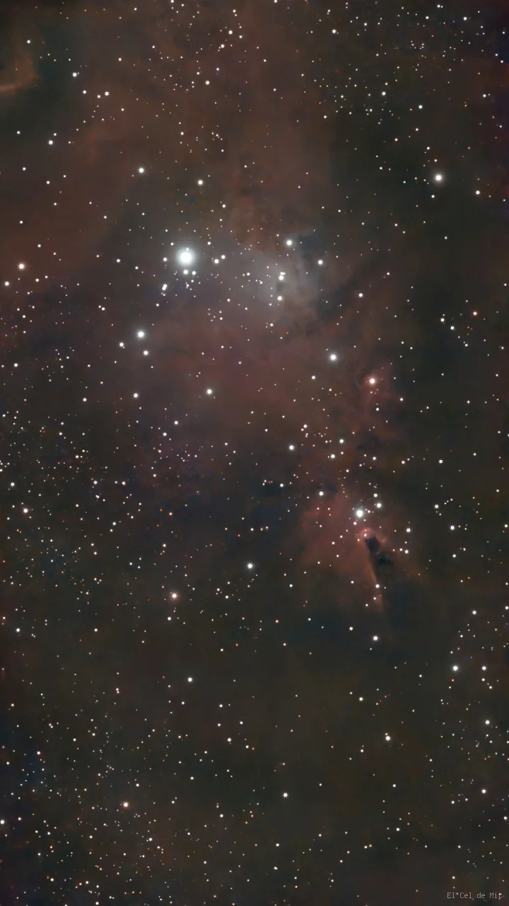 Imagen de NGC 2264 La nebulosa del Cono