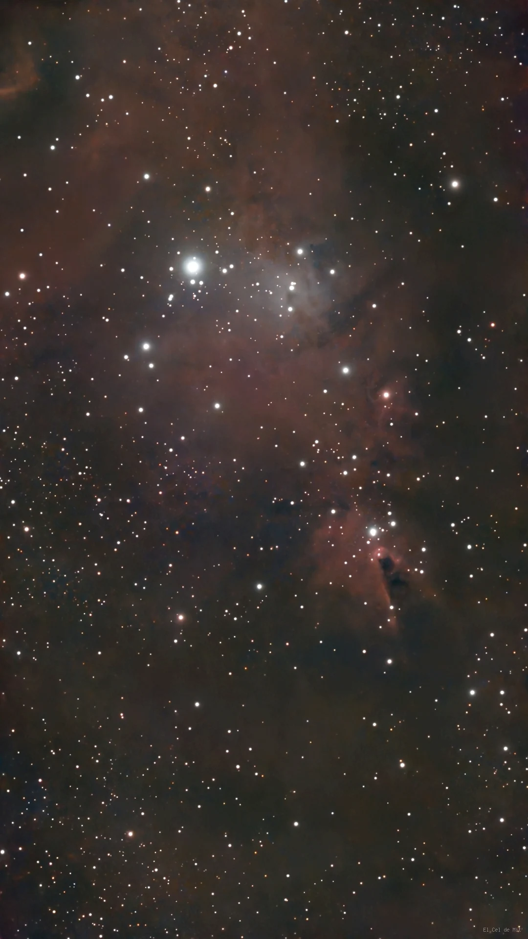 Imagen de NGC 2264 La nebulosa del Cono